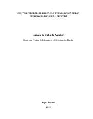 Relatório Ensaio Tubo Venturi.docx