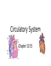 Chapter 13 Circulatory System.pptx