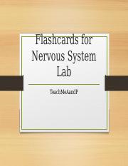 Flashcards for Nervous System Lab.pptx