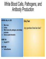 White Blood Cells, Pathogens, and Antibody Production.pdf