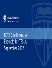 TESLA_BETA Coefficient July 2023.pptm
