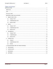 Lab Report.pdf