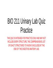 BIO 211 Urinary Lab Quiz Practice.pptx