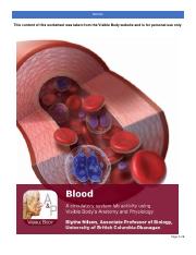 Blood Work Sheet.pdf