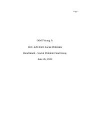 Benchmark - Social Problem Final Essay.docx