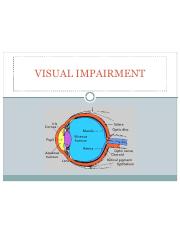 Visual Impairment & Hearing Impairment PP.pdf
