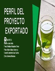 PERFIL DEL PROYECTO EXPORTADOR.pdf