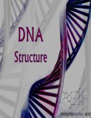 DNA-Structure PPT.ppt