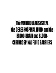 Ventricular System.pdf