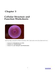 Cellular Structure and Function Worksheets.docx