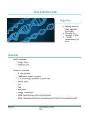 DNA Structure and Function Lab (1) (1).docx