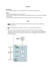 Mitosis and meiosis_TILTed assignment.docx
