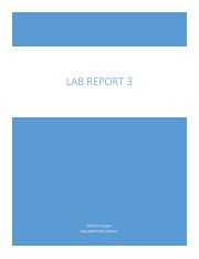 Lab3_Report.pdf