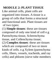 BIOL2606  ~ Structural and Functional Unit of Tissues.docx