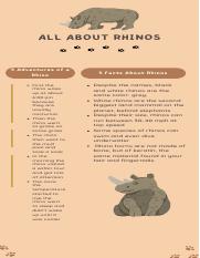 All about Rhinos.pdf