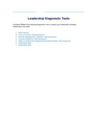 A3 Leadership Diagnostic Tools-1.docx