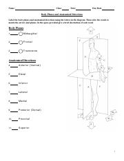 5body planes worksheet.pdf - Name Class Date Due Date Body ...
