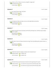 Module 11 quiz Page 2.pdf