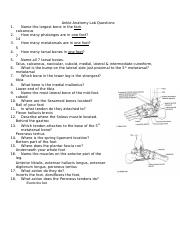 Copy of Ankle Anatomy Lab Questions