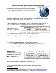 carbon cycle energy flow SH.docx