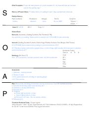 soapnotes-111210211328-phpapp01.pdf