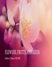 FLOWERS, FRUITS, AND SEEDS - Copy.pptx