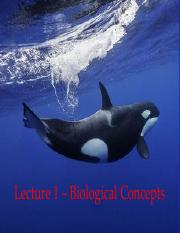 Lecture 1 - Biological Concepts.pdf