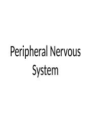 Ch. 13 Peripheral Nervous System(3).pptx
