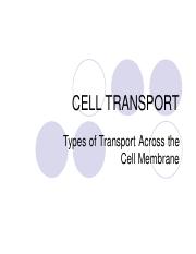Cell Transport * .pdf