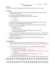Bio 12.1 DNA Nucleotide structure lab.docx