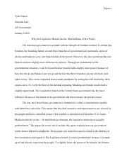 free essay about legislative branch