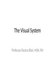 THE%20VISUAL%20SYSTEM%20Lecture2