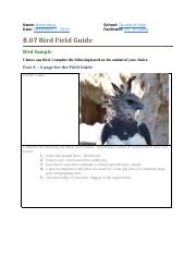 8.07 Bird Field Guide.docx