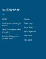 Dugesia digestive tract.pptx