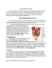 urenogenital ducts.pdf