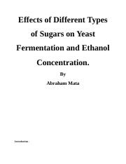 Lab Report 2: Ethanol