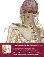 Spinal Cord & Spinal nerves Lab - Todd Stocks.pdf
