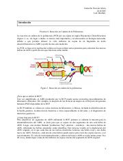 Practica#9_PCR_CamachoNavejarAlicia_01167087.docx.pdf