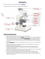 Lab - Microscopes.pdf