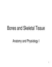 Chapt 6 Bones and Skeletal Tissue.pdf