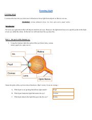 Xavier van Loben Sels - Eye lab.pdf