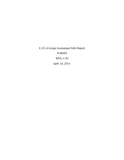 LLELA Group Assessment Field Report