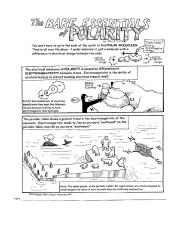 The Bare Essentials of Polarity_word.docx