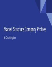 Market Structure Company Profiles.pdf