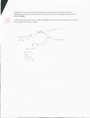 Short Answer Assignment on Cell Cycle and Cancer Research