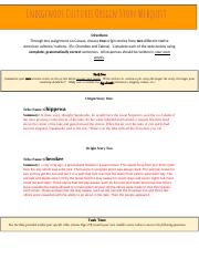 Copy of Copy of Indigenous Cultures Origin Stories (Modified).docx