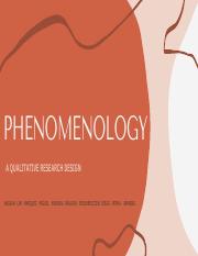 PHENOMENOLOGY.pdf