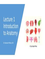 B230 Lecture 1 Introduction to Anatomy.pptx