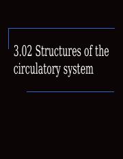 3.02 Circulatory Structures L.Bolick.ppt