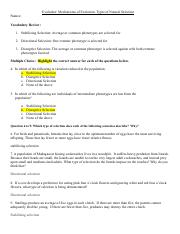 Copy of Natural Selection Review.pdf